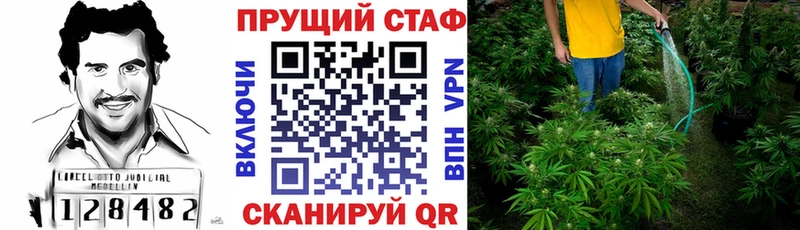 Виды наркоты Новороссийск APVP Амфетамин Бошки Шишки Кокаин гидра МЕФ