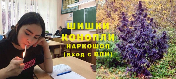 гашик Михайлов