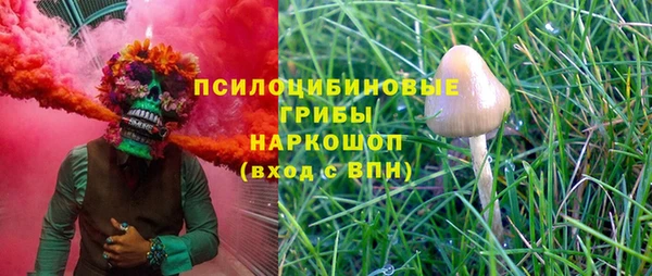 ешки Алексеевка